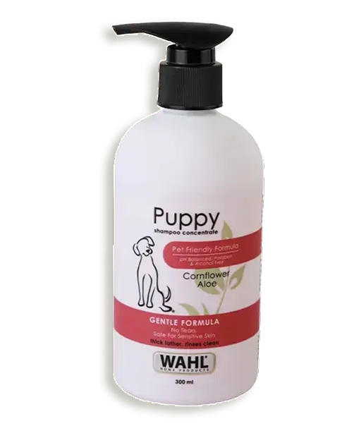 Wahl