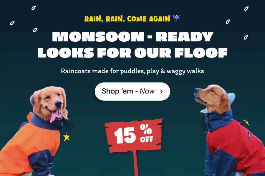 Monsoon