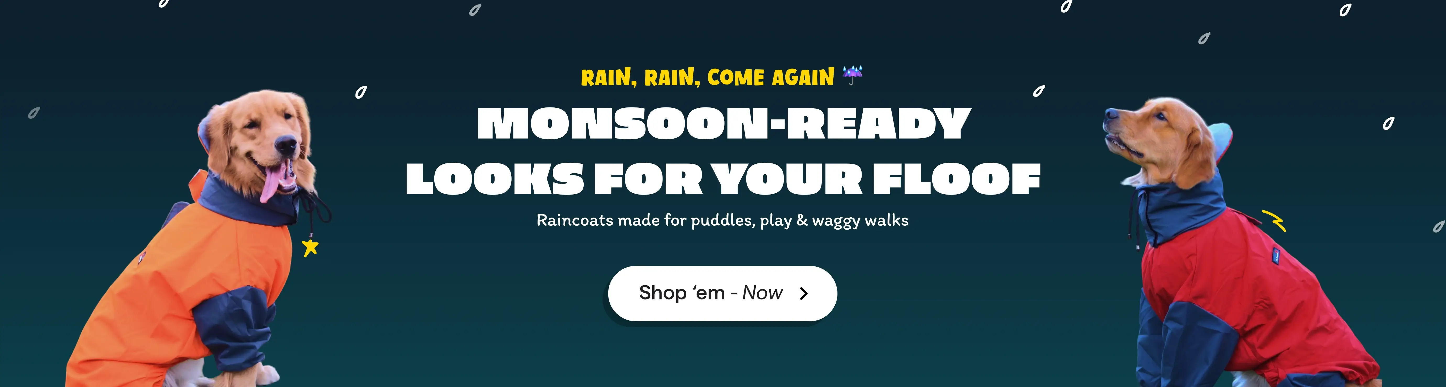 Monsoon