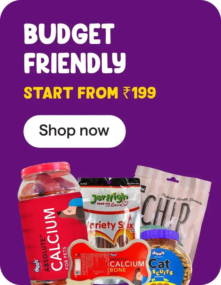 Budget Pack