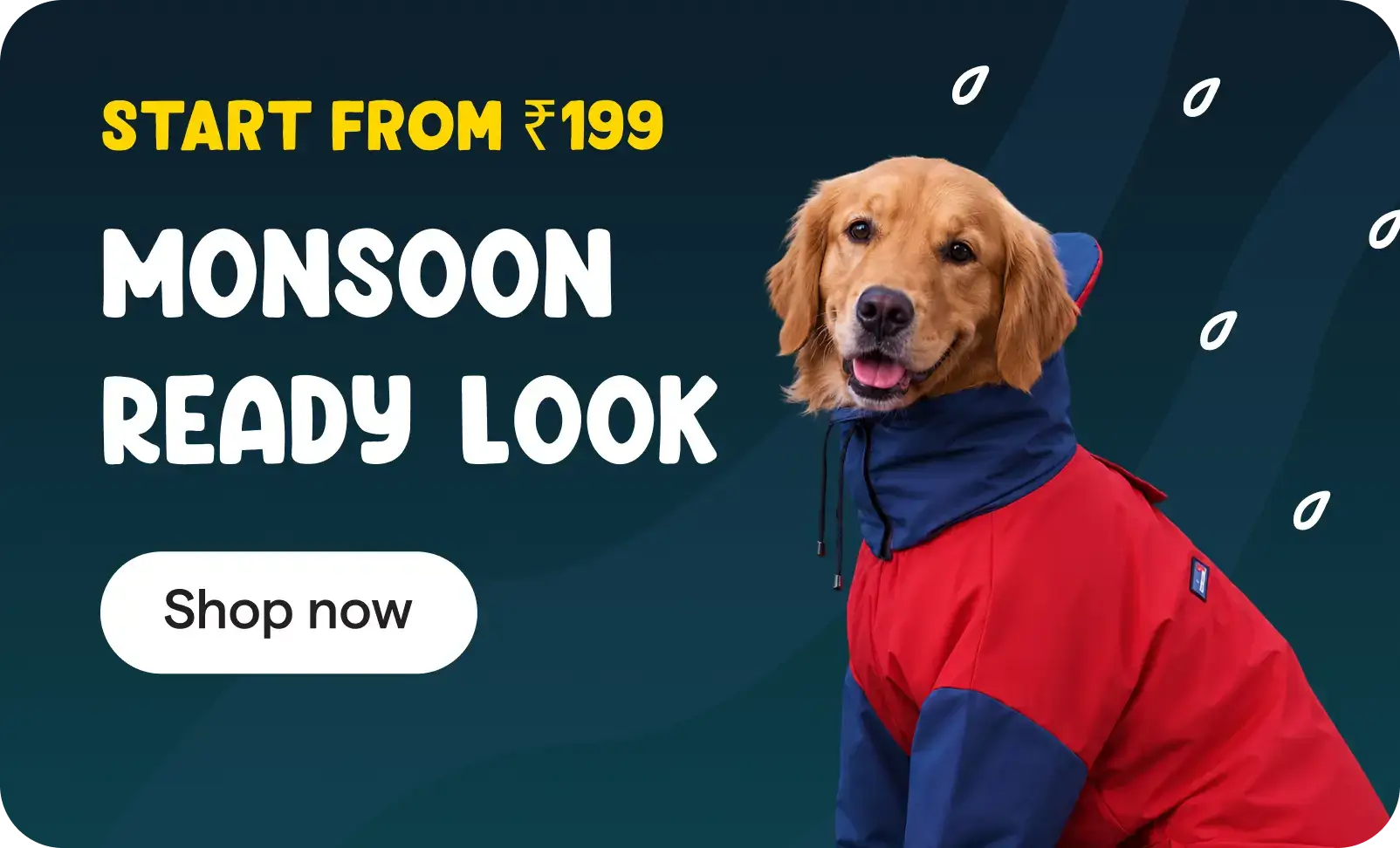 Monsoon Pack