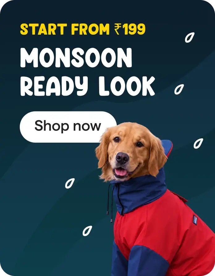 Monsoon Pack