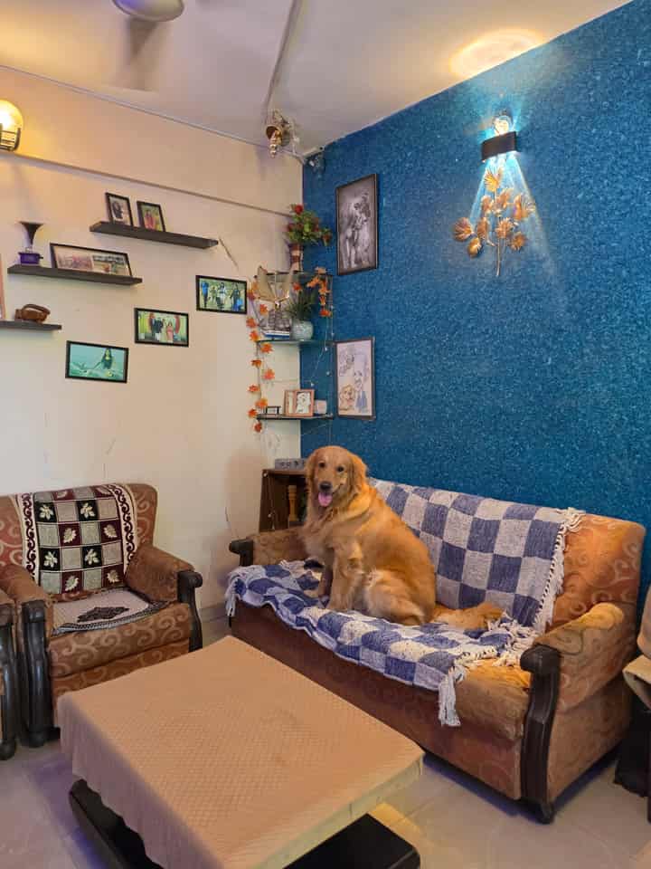 Misha Deb